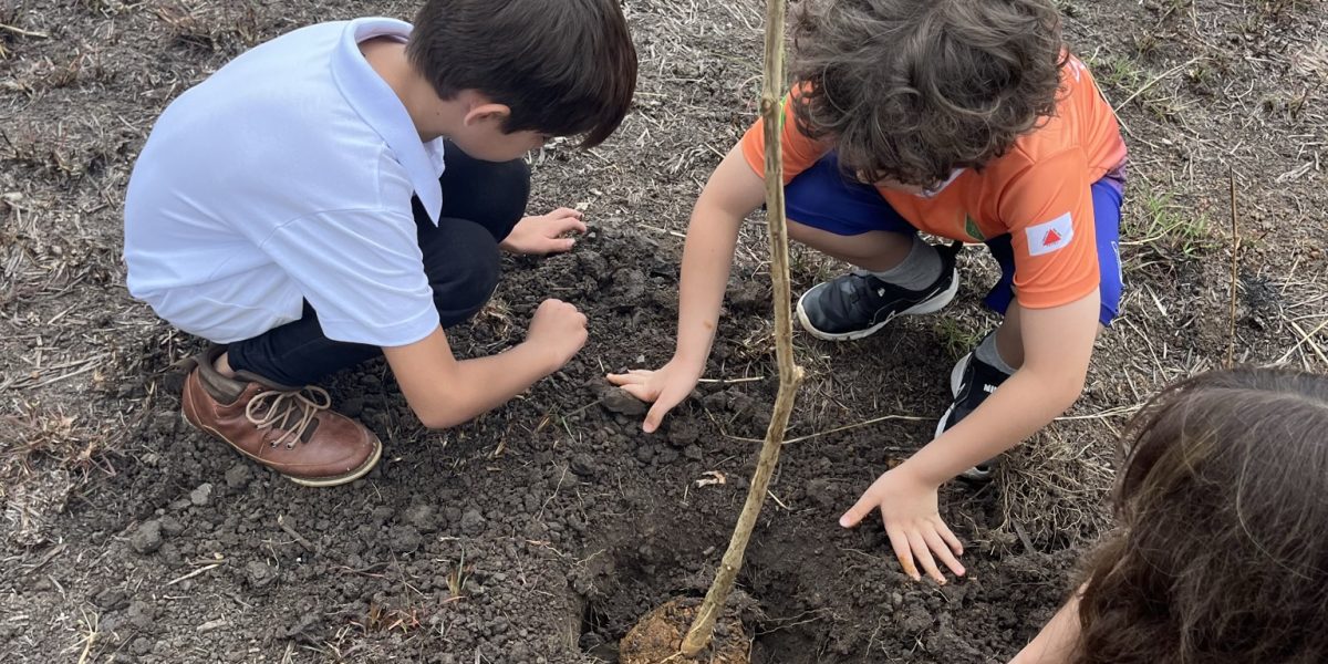 5 sinais de que seu filho se daria muito bem em uma escola Montessori